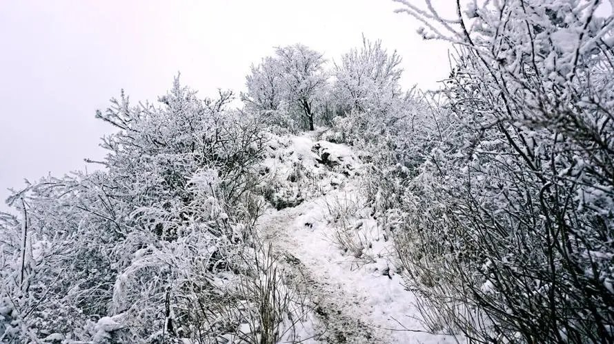 银霜的拼音怎么写
