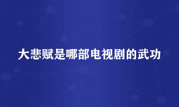 大悲赋是哪部电视剧的武功