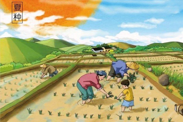 古人对夏季的称呼三夏
