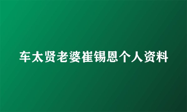 车太贤老婆崔锡恩个人资料