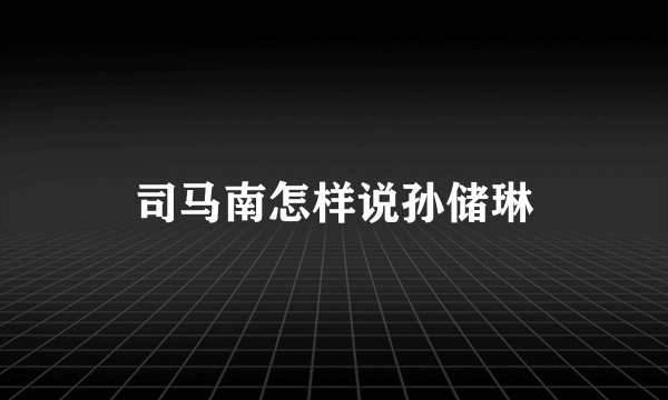 司马南怎样说孙储琳