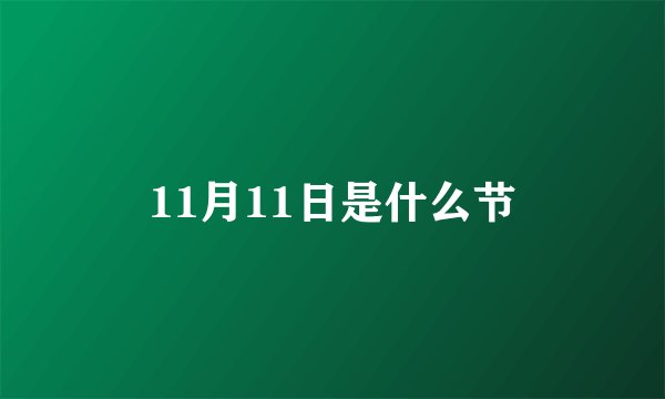 11月11日是什么节