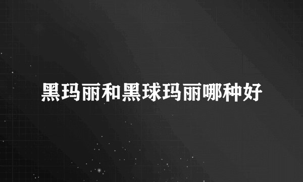 黑玛丽和黑球玛丽哪种好