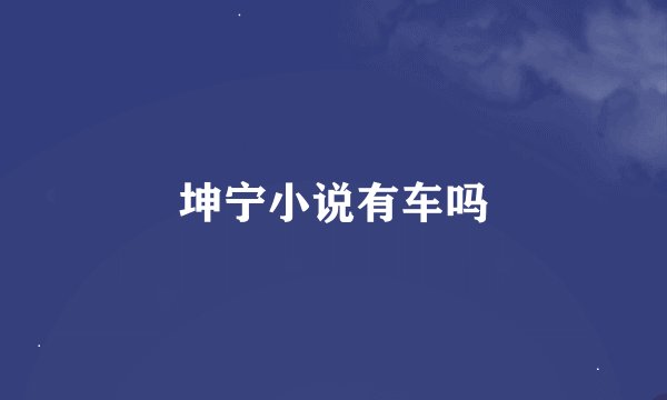 坤宁小说有车吗