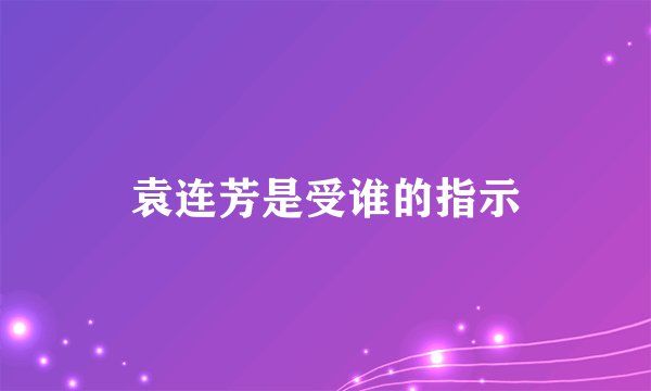 袁连芳是受谁的指示