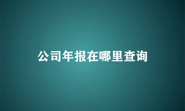 公司年报在哪里查询