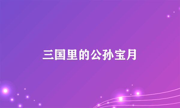 三国里的公孙宝月