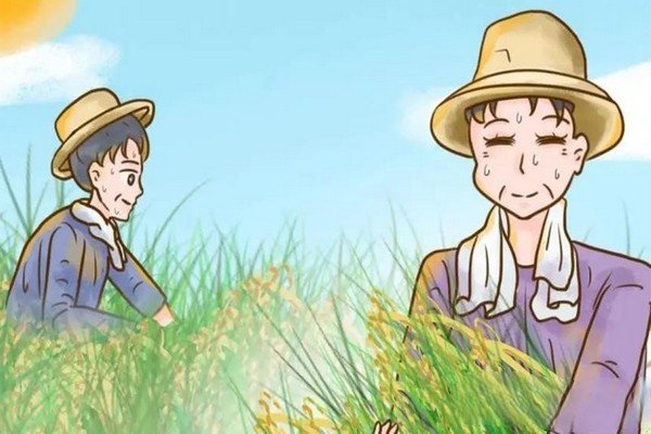 古人对夏季的称呼三夏