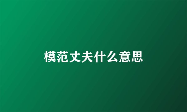 模范丈夫什么意思