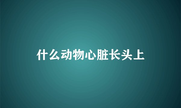 什么动物心脏长头上
