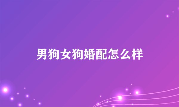 男狗女狗婚配怎么样