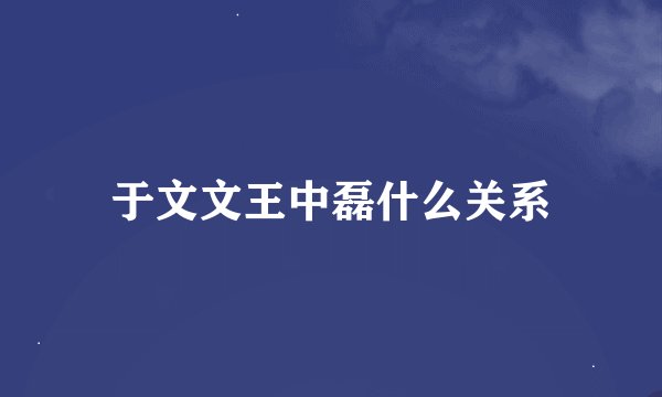 于文文王中磊什么关系