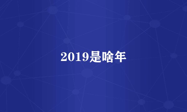 2019是啥年