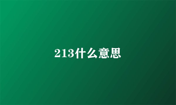 213什么意思