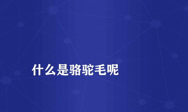 
什么是骆驼毛呢

