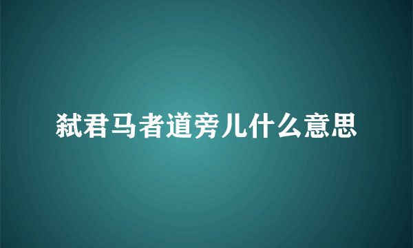 弑君马者道旁儿什么意思