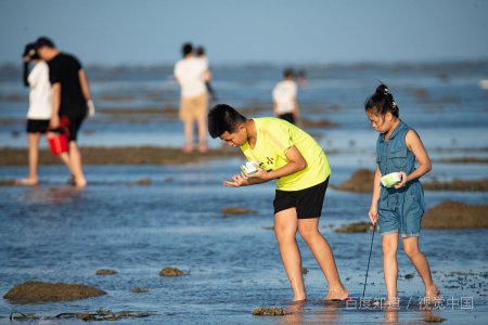 重阳节是鬼节吗