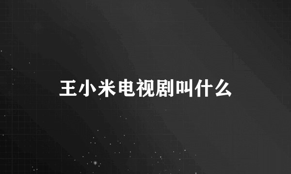 王小米电视剧叫什么