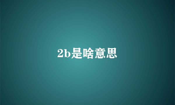 2b是啥意思