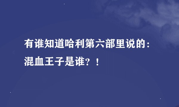 有谁知道哈利第六部里说的：混血王子是谁？！