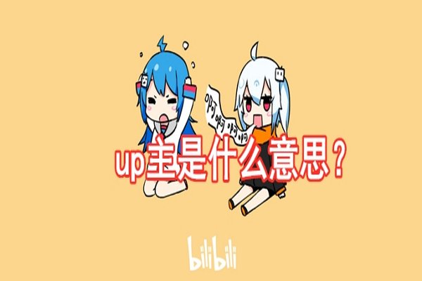 什么是UP主？