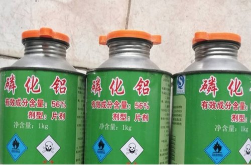 怎样消灭印度谷螟？？