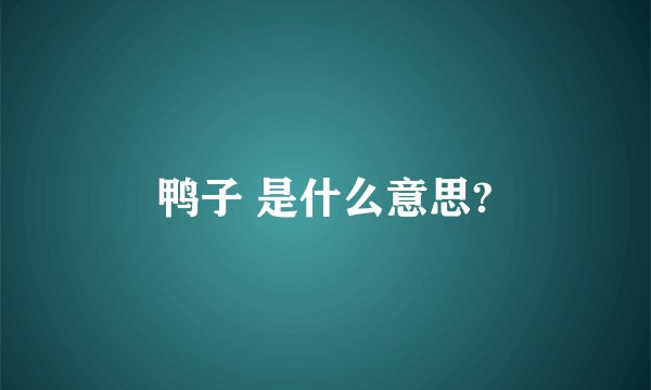 鸭子 是什么意思?
