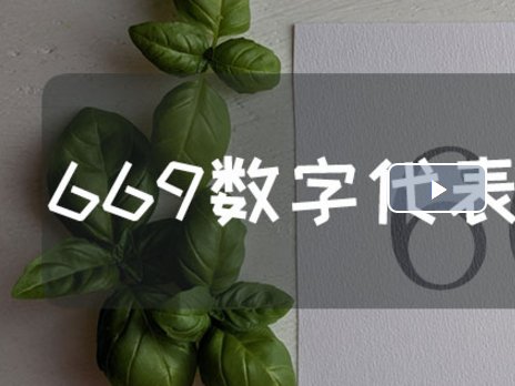 数字669代表什么意思