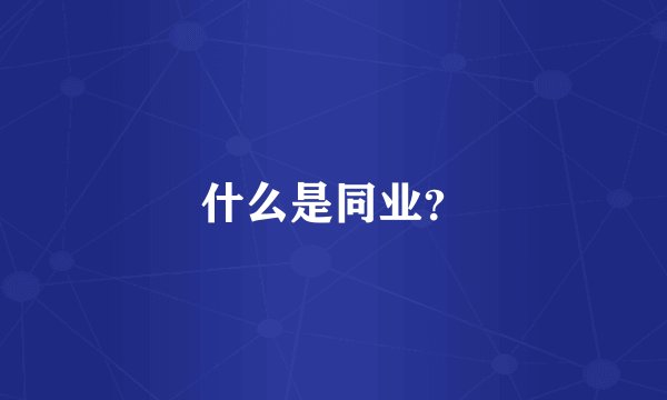 什么是同业？