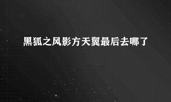 黑狐之风影方天翼最后去哪了