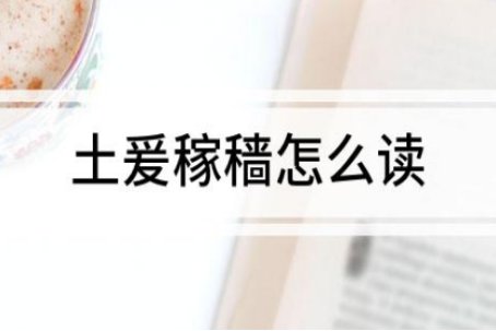 土爰稼穑怎么读