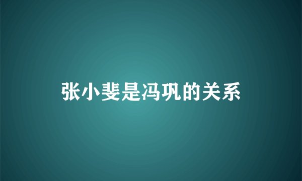 张小斐是冯巩的关系
