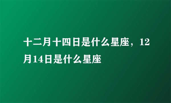 十二月十四日是什么星座，12月14日是什么星座