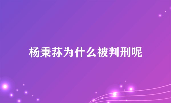 杨秉荪为什么被判刑呢