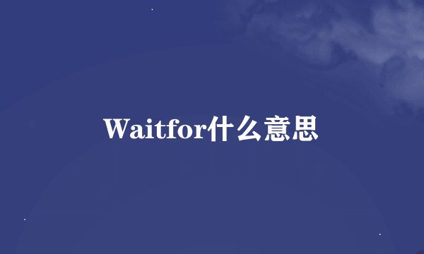 Waitfor什么意思