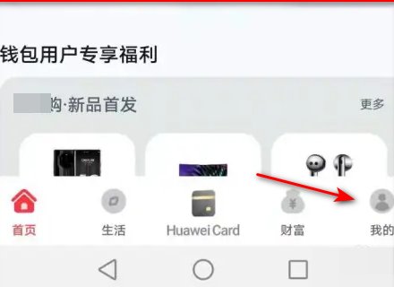 花瓣支付怎么下载