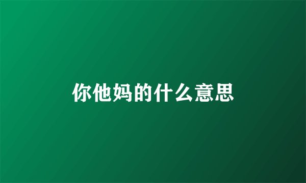 你他妈的什么意思