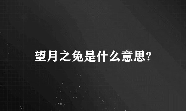 望月之兔是什么意思?
