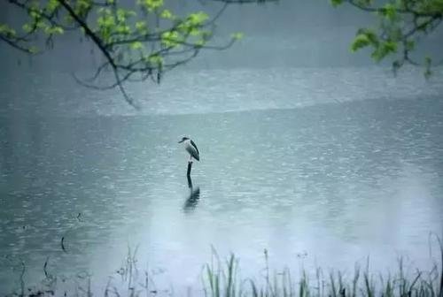 春潮带雨晚来急 是什么意思