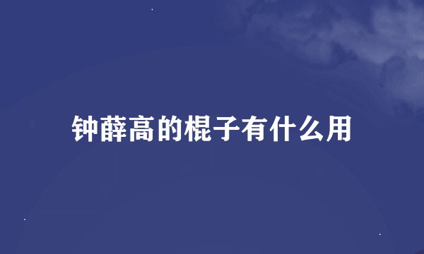 钟薛高的棍子有什么用