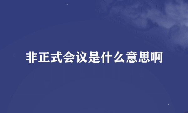 非正式会议是什么意思啊