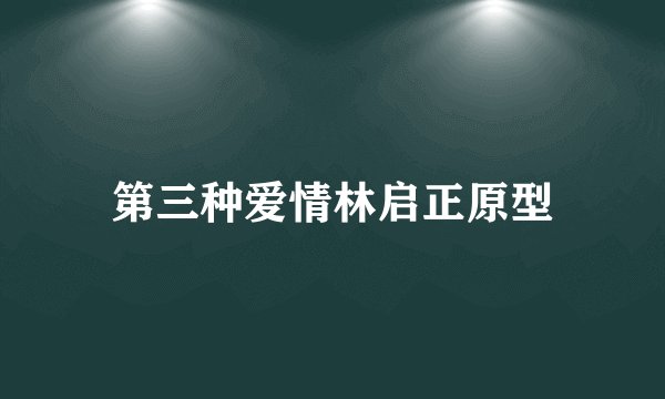 第三种爱情林启正原型