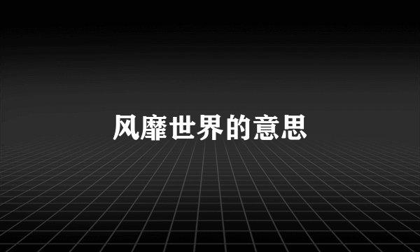 风靡世界的意思