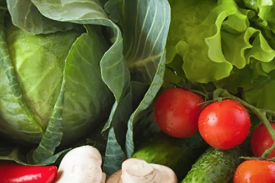 天然造句二年级简单