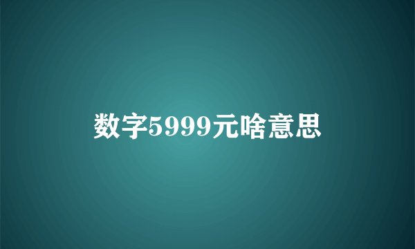 数字5999元啥意思