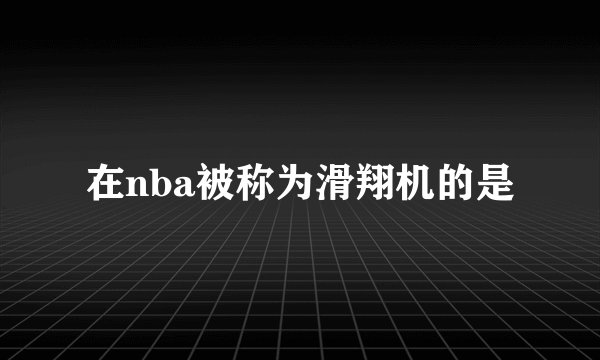 在nba被称为滑翔机的是