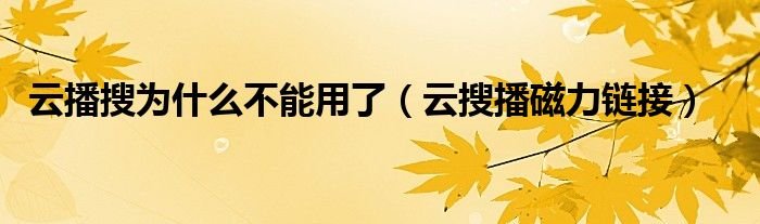 云播搜为什么不能用了云搜播磁力链接