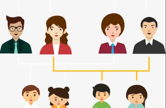 家庭成员与我们的社会关系是什么关系