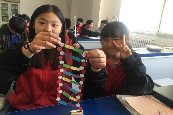 上游引物和下游引物的区别