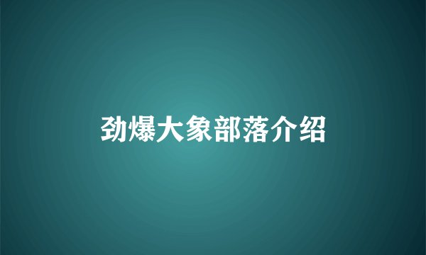 劲爆大象部落介绍